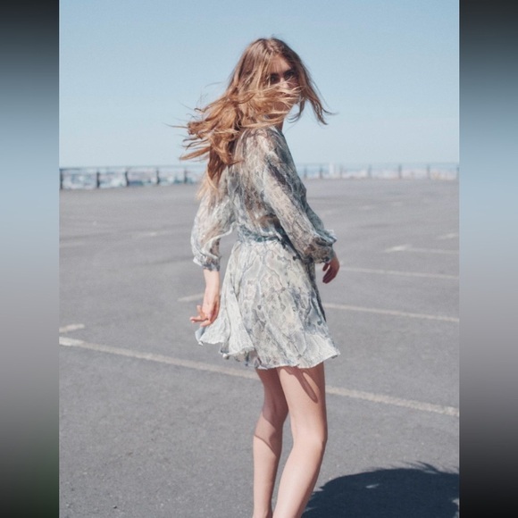 New ZARA Metalic Thread Animal Print Dress - Picture 4 of 6